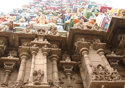 Tours and Travels in Tirunelveli